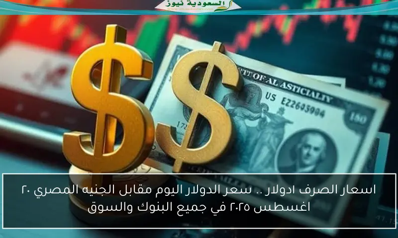 اسعار الصرف ١دولار .. سعر الدولار اليوم مقابل الجنيه المصري ٢٠ اغسطس ٢٠٢٥ في جميع البنوك والسوق