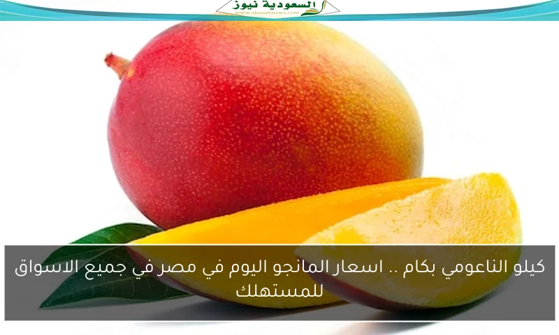 كيلو الناعومي بكام .. اسعار المانجو اليوم في مصر في جميع الاسواق للمستهلك