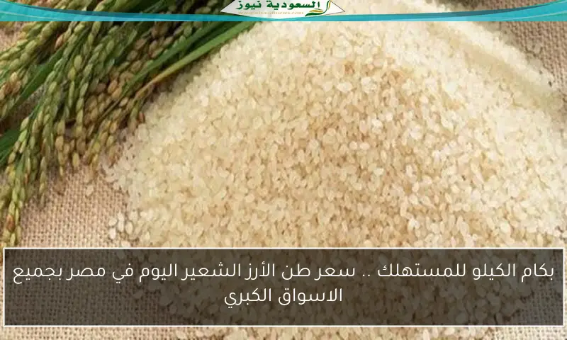 بكام الكيلو للمستهلك .. سعر طن الأرز الشعير اليوم في مصر بجميع الاسواق الكبري