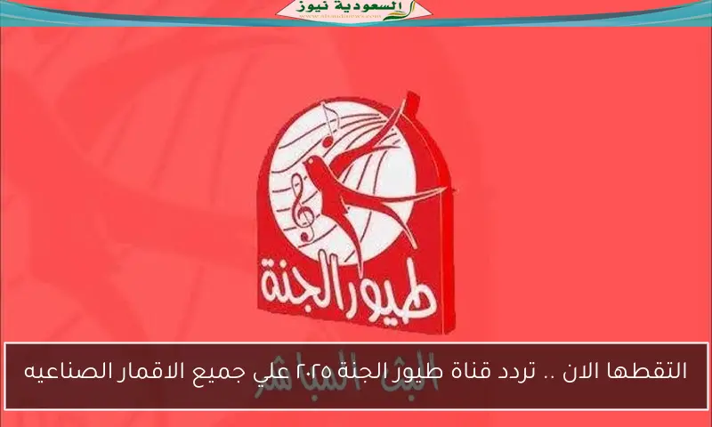 التقطها الان .. تردد قناة طيور الجنة ٢٠٢٥ علي جميع الاقمار الصناعيه