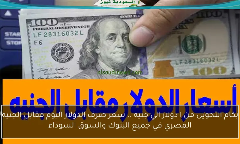 بكام التحويل من ١ دولار الي جنيه .. سعر صرف الدولار اليوم مقابل الجنيه المصري في جميع البنوك والسوق السوداء