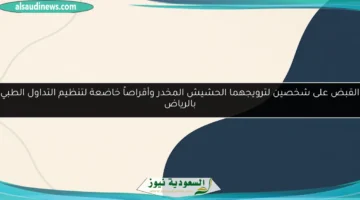 bg template6 86