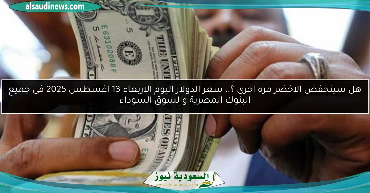 هل سينخفض الاخضر مره اخرى ؟.. سعر الدولار اليوم الاربعاء 13 اغسطس 2025 فى جميع البنوك المصرية والسوق السوداء