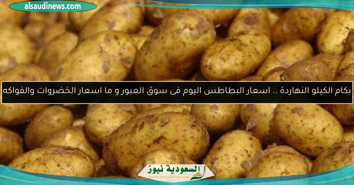 بكام الكيلو النهاردة .. اسعار البطاطس اليوم فى سوق العبور و ما اسعار الخضروات والفاكهه