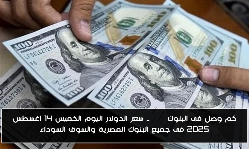 كم وصل فى البنوك usd .. سعر الدولار اليوم الخميس 14 اغسطس 2025 فى جميع البنوك المصرية والسوق السوداء