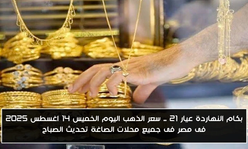 بكام النهاردة عيار 21 .. سعر الذهب اليوم الخميس 14 اغسطس 2025 فى مصر فى جميع محلات الصاغة تحديث الصباح