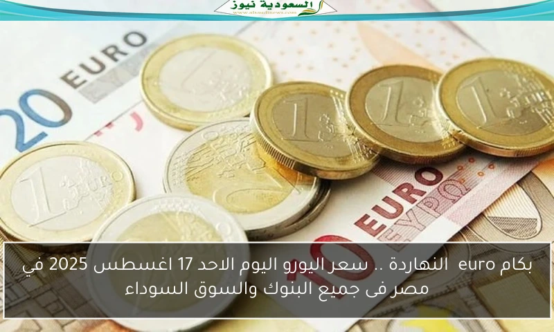 بكام euro النهاردة .. سعر اليورو اليوم الاحد 17 اغسطس 2025 في مصر فى جميع البنوك والسوق السوداء