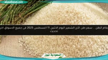 سعر طن الأرز الشعير اليوم