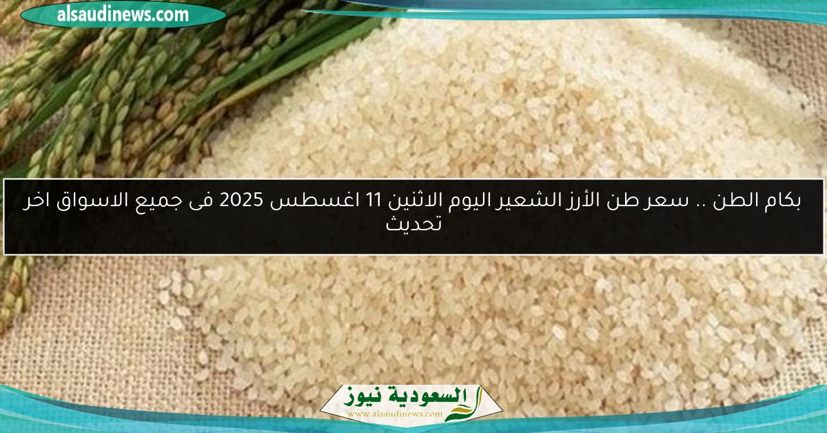 بكام الطن .. سعر طن الأرز الشعير اليوم الاثنين 11 اغسطس 2025 فى جميع الاسواق اخر تحديث