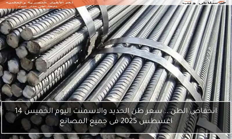 انخفاض الطن .. سعر طن الحديد والاسمنت اليوم الخميس 14 اغسطس 2025 فى جميع المصانع