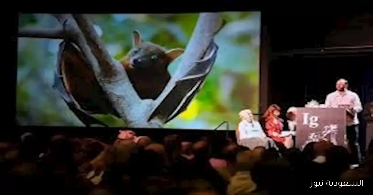 جائزة نوبل الساخرة لعام 2024 تكرم أبحاثًا غير تقليدية عن الخفافيش وصلصة المكرونة