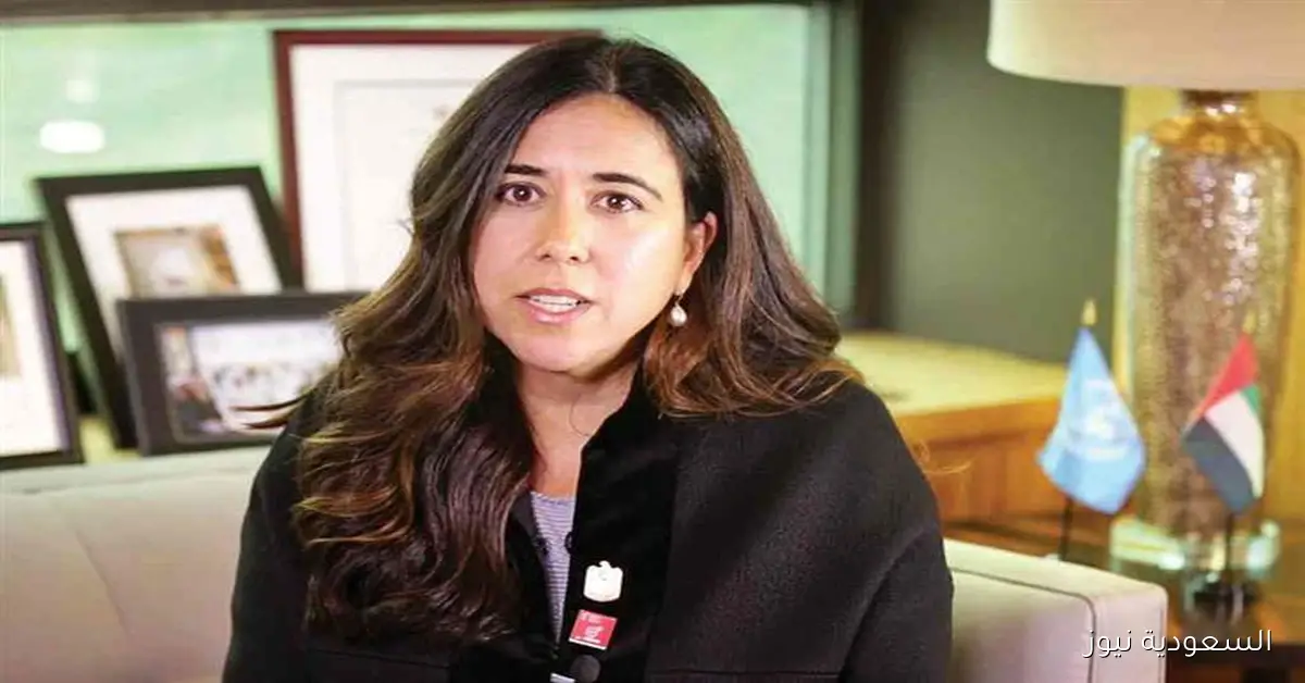 الإمارات أمام الأمم المتحدة: السلام المستدام يتطلب حلولاً سلمية وليس عسكرية