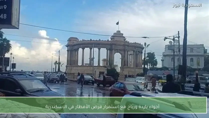 أجواء باردة ورياح مع استمرار فرص الأمطار في الإسكندرية