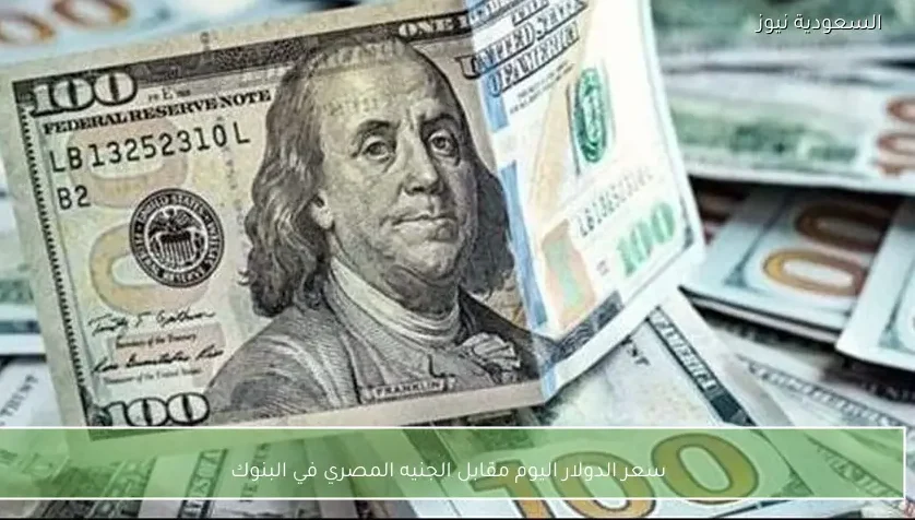 سعر الدولار اليوم مقابل الجنيه المصري في البنوك