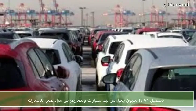 تحصيل 13.64 مليون جنيه من بيع سيارات وبضائع في مزاد علني للجمارك