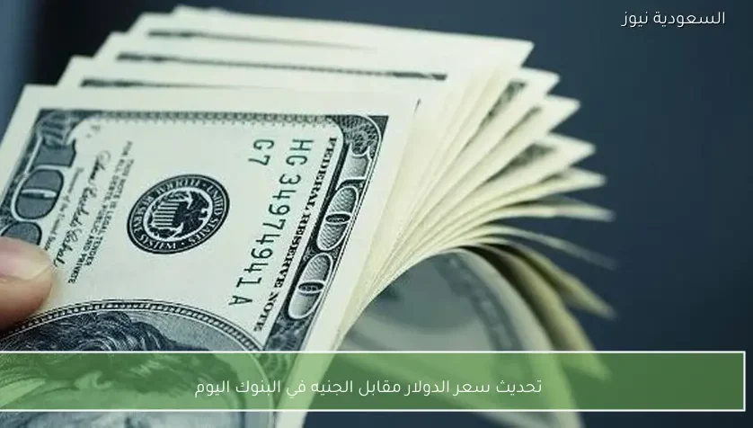 تحديث سعر الدولار مقابل الجنيه في البنوك اليوم