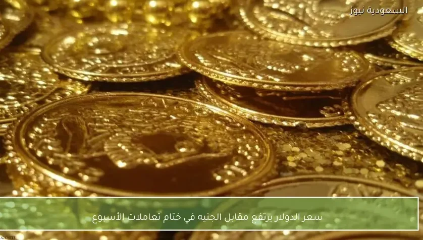 سعر الدولار يرتفع مقابل الجنيه في ختام تعاملات الأسبوع