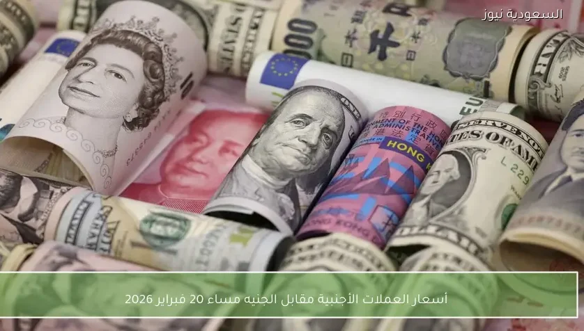 أسعار العملات الأجنبية مقابل الجنيه مساء 20 فبراير 2026