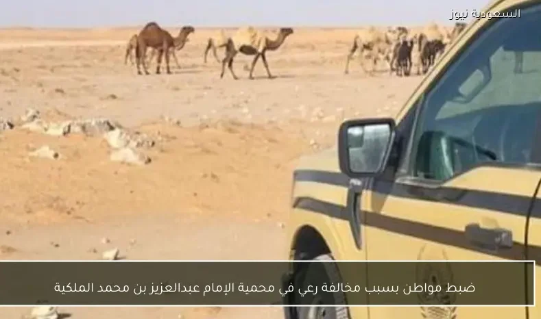 ضبط مواطن بسبب مخالفة رعي في محمية الإمام عبدالعزيز بن محمد الملكية