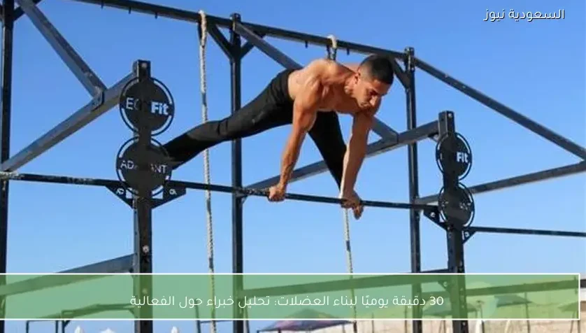 30 دقيقة يوميًا لبناء العضلات: تحليل خبراء حول الفعالية