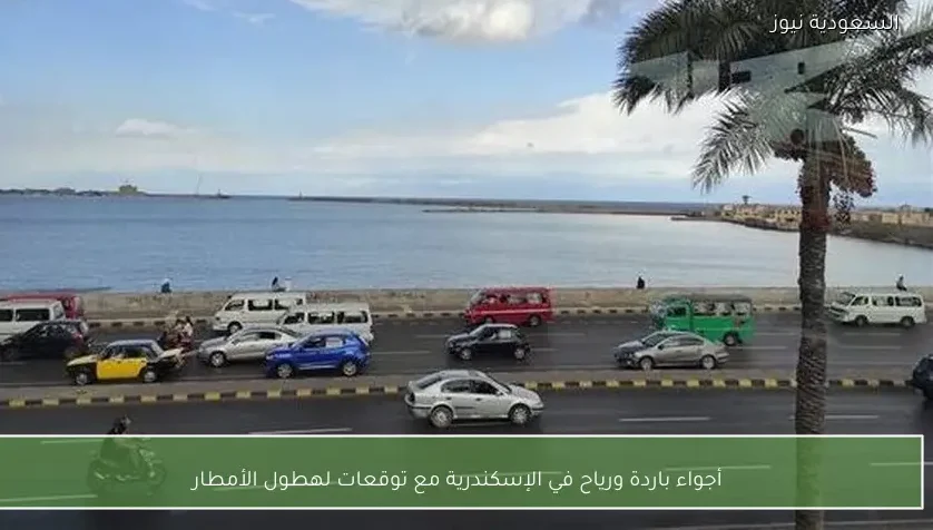 أجواء باردة ورياح في الإسكندرية مع توقعات لهطول الأمطار