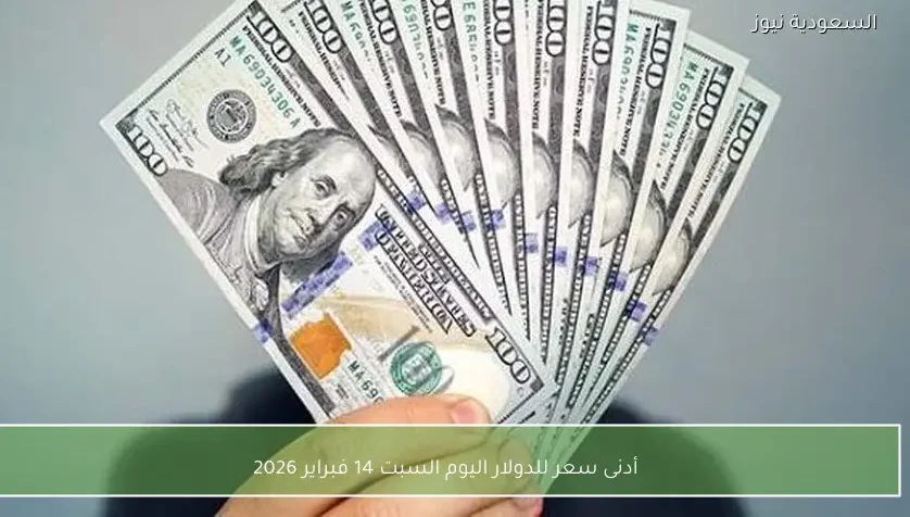 أدنى سعر للدولار اليوم السبت 14 فبراير 2026