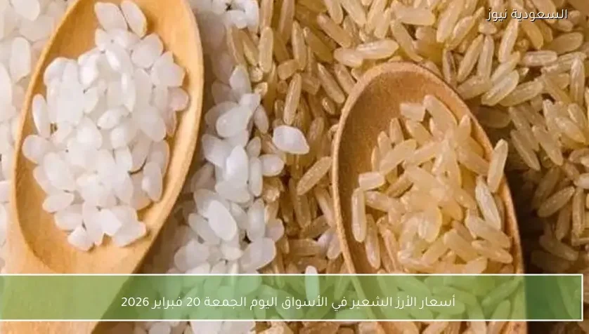 أسعار الأرز الشعير في الأسواق اليوم الجمعة 20 فبراير 2026