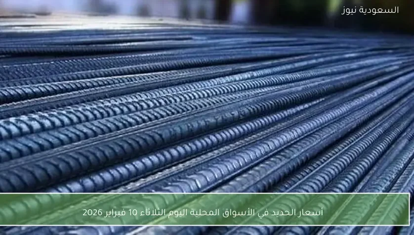 أسعار الحديد في الأسواق المحلية اليوم الثلاثاء 10 فبراير 2026