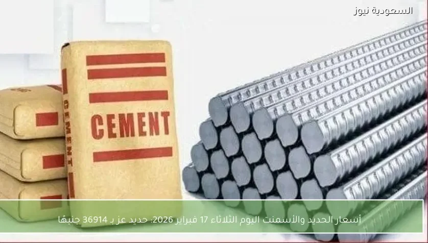أسعار الحديد والأسمنت اليوم الثلاثاء 17 فبراير 2026: حديد عز بـ 36914 جنيهًا