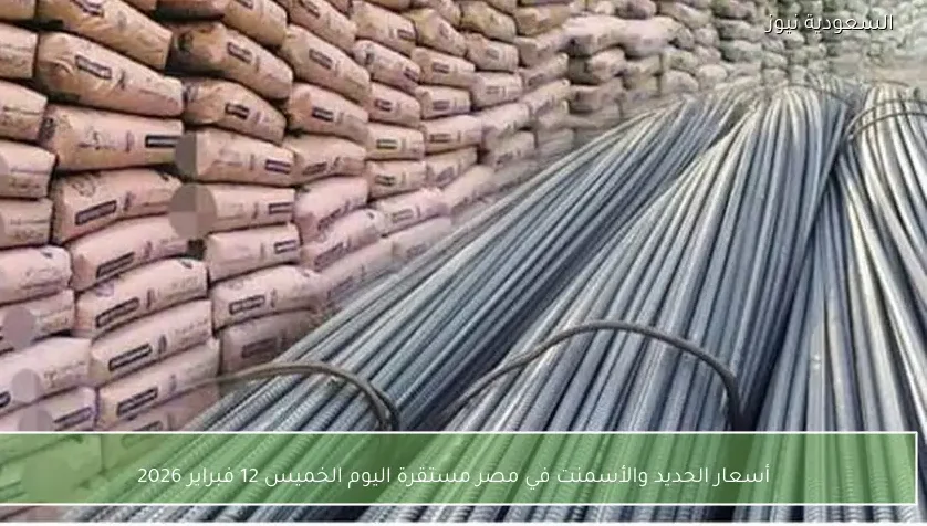 أسعار الحديد والأسمنت في مصر مستقرة اليوم الخميس 12 فبراير 2026