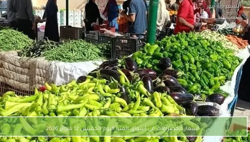 أسعار الخضراوات في أسواق المنيا اليوم الخميس 12 فبراير 2026