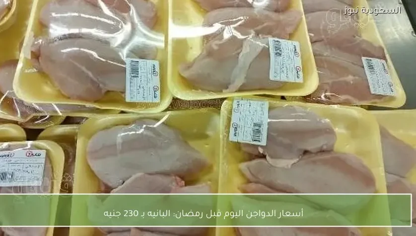 أسعار الدواجن اليوم قبل رمضان: البانيه بـ 230 جنيه