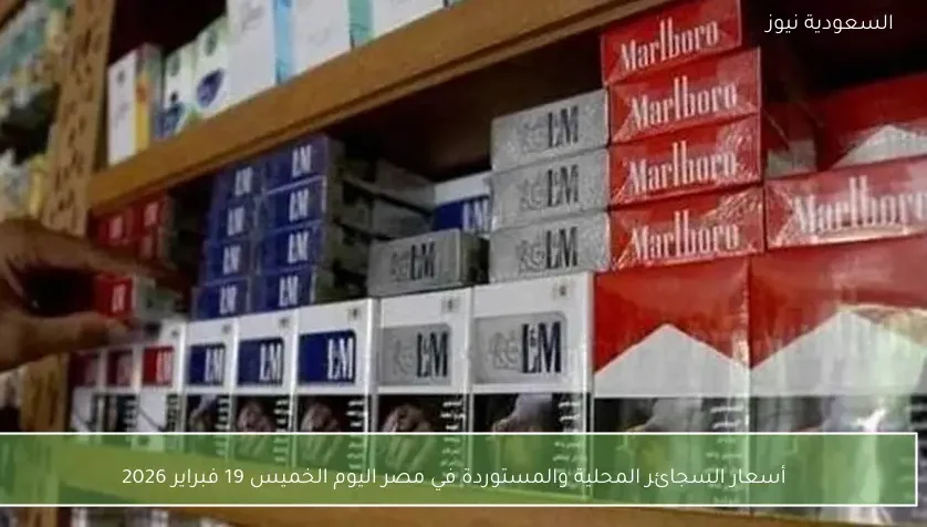 أسعار السجائر المحلية والمستوردة في مصر اليوم الخميس 19 فبراير 2026