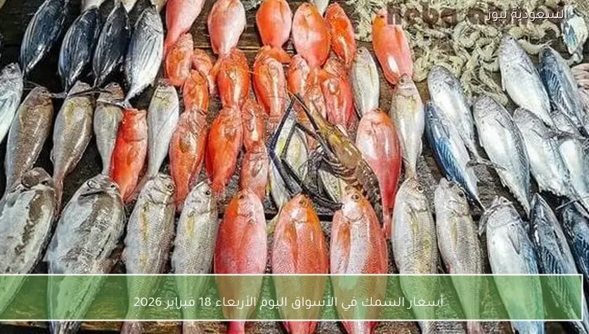 أسعار السمك في الأسواق اليوم الأربعاء 18 فبراير 2026