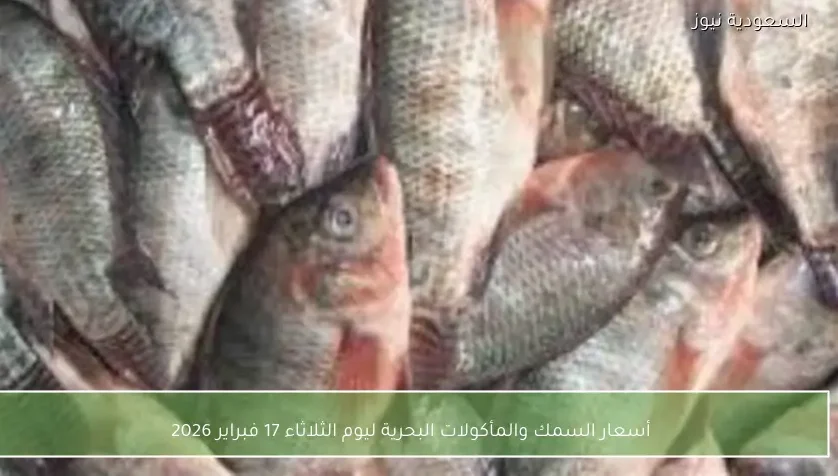 أسعار السمك والمأكولات البحرية ليوم الثلاثاء 17 فبراير 2026