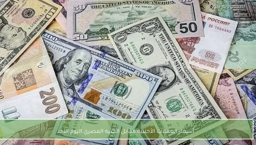 أسعار العملات الأجنبية مقابل الجنيه المصري اليوم الأحد