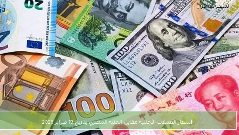 أسعار العملات الأجنبية مقابل الجنيه المصري بتاريخ 13 فبراير 2026