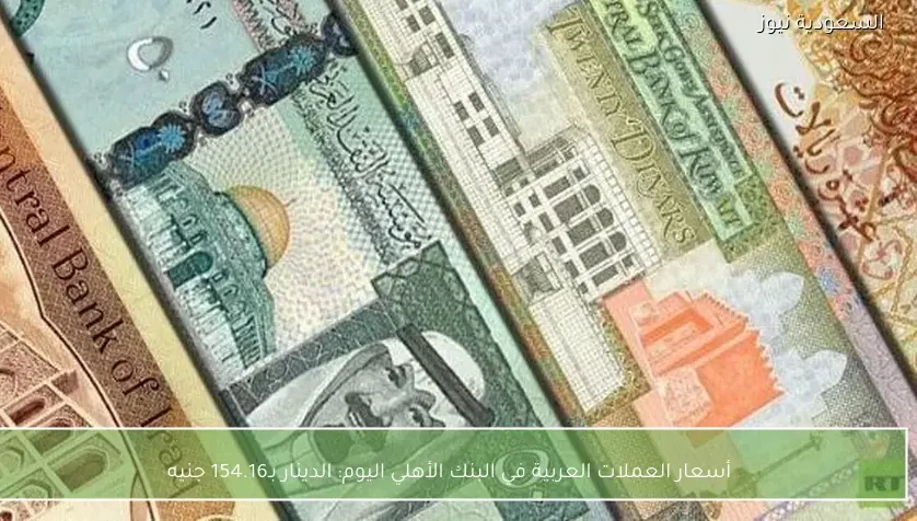 أسعار العملات العربية في البنك الأهلي اليوم: الدينار بـ154.16 جنيه