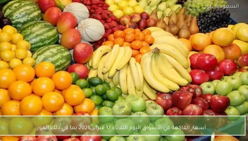 أسعار الفاكهة في الأسواق اليوم الثلاثاء 17 فبراير 2026 بما في ذلك الموز