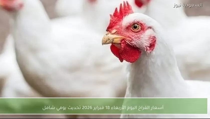 أسعار الفراخ اليوم الأربعاء 18 فبراير 2026 تحديث يومي شامل