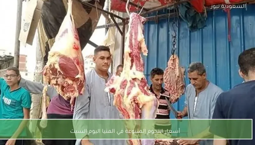أسعار اللحوم المتنوعة في المنيا اليوم السبت