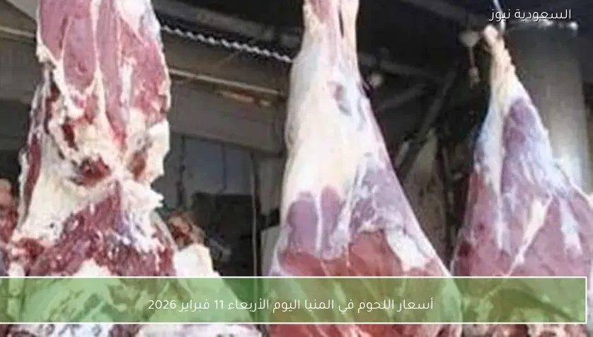 أسعار اللحوم في المنيا اليوم الأربعاء 11 فبراير 2026