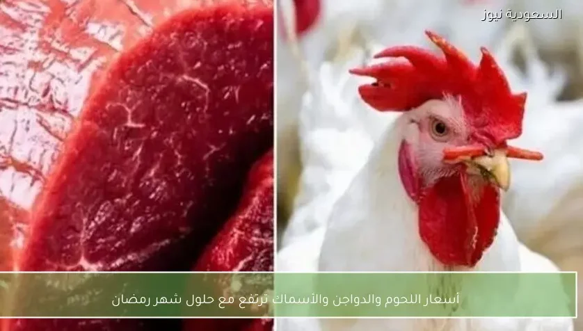 أسعار اللحوم والدواجن والأسماك ترتفع مع حلول شهر رمضان
