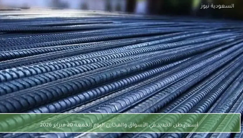 أسعار طن الحديد في الأسواق والمخازن اليوم الجمعة 20 فبراير 2026