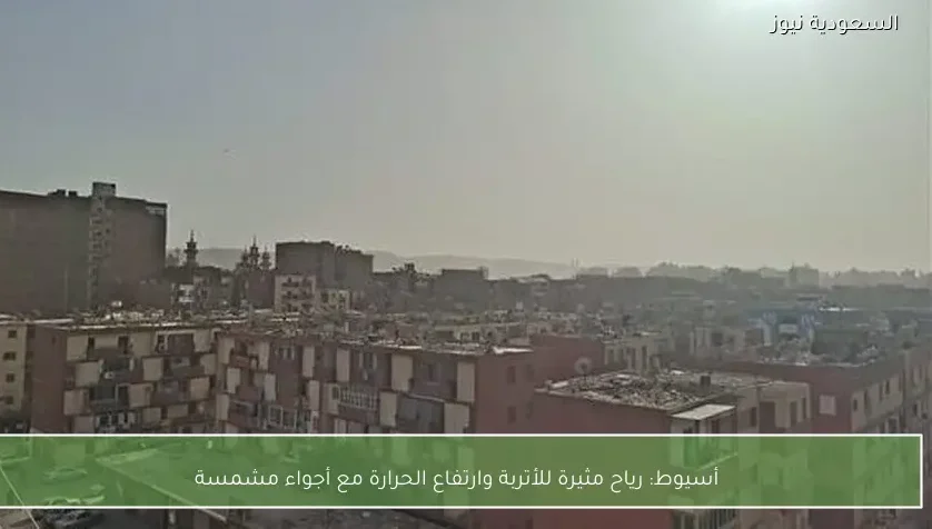 أسيوط: رياح مثيرة للأتربة وارتفاع الحرارة مع أجواء مشمسة