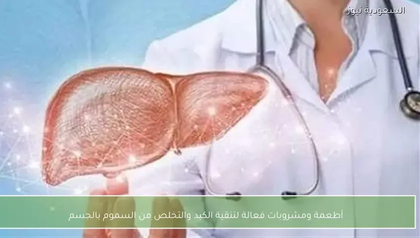 أطعمة ومشروبات فعالة لتنقية الكبد والتخلص من السموم بالجسم