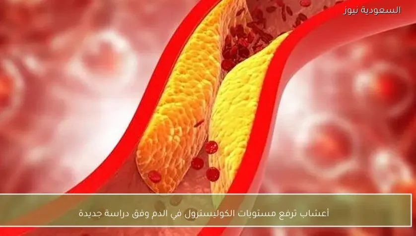 أعشاب ترفع مستويات الكوليسترول في الدم وفق دراسة جديدة