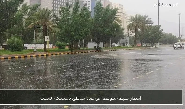 أمطار خفيفة متوقعة في عدة مناطق بالمملكة السبت