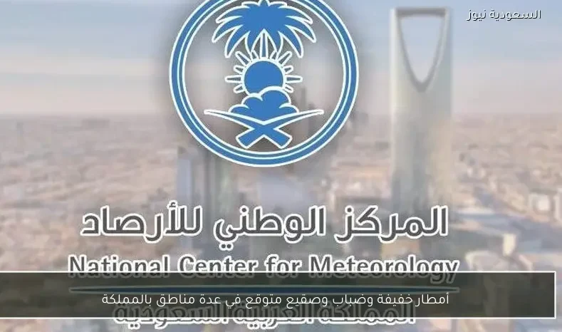 أمطار خفيفة وضباب وصقيع متوقع في عدة مناطق بالمملكة