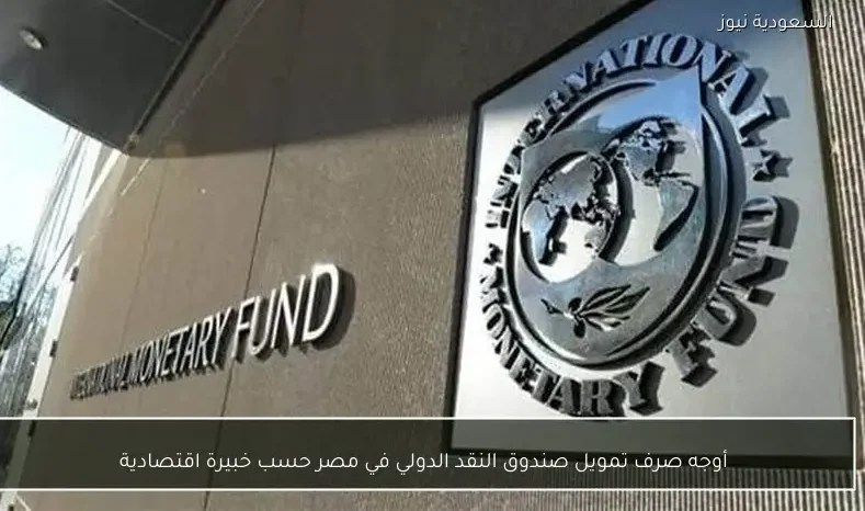 أوجه صرف تمويل صندوق النقد الدولي في مصر حسب خبيرة اقتصادية